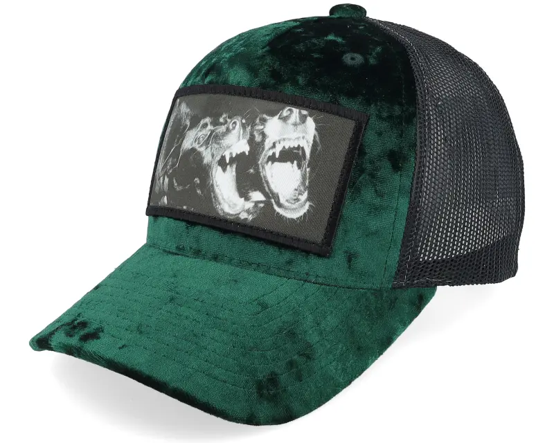 bcalza pennellob kids dogs velvet greenblack trucker